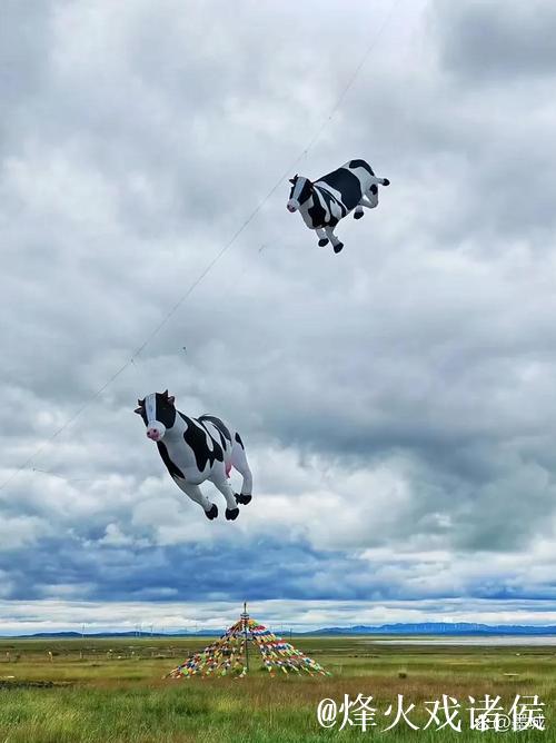 极速草原滑降:感受自然与速度的完美交融 极速草原滑降:感受自然与速度的完美交融